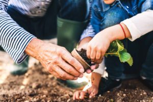 Man and a small girl gardening.